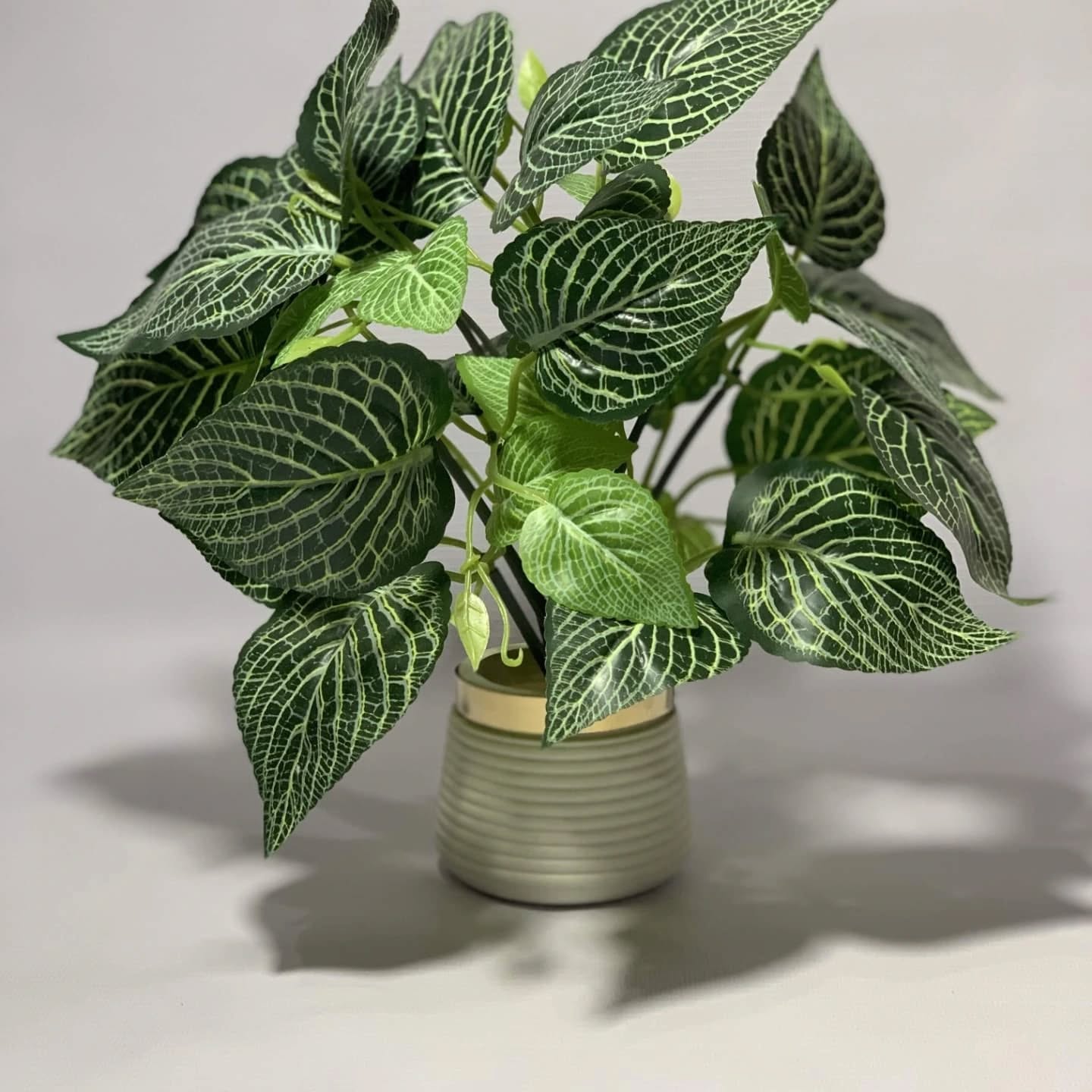 Artifical Green Plant for Home Decoration