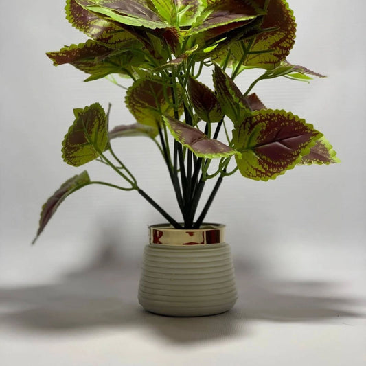 Artifical Green Plant for Home Decoration