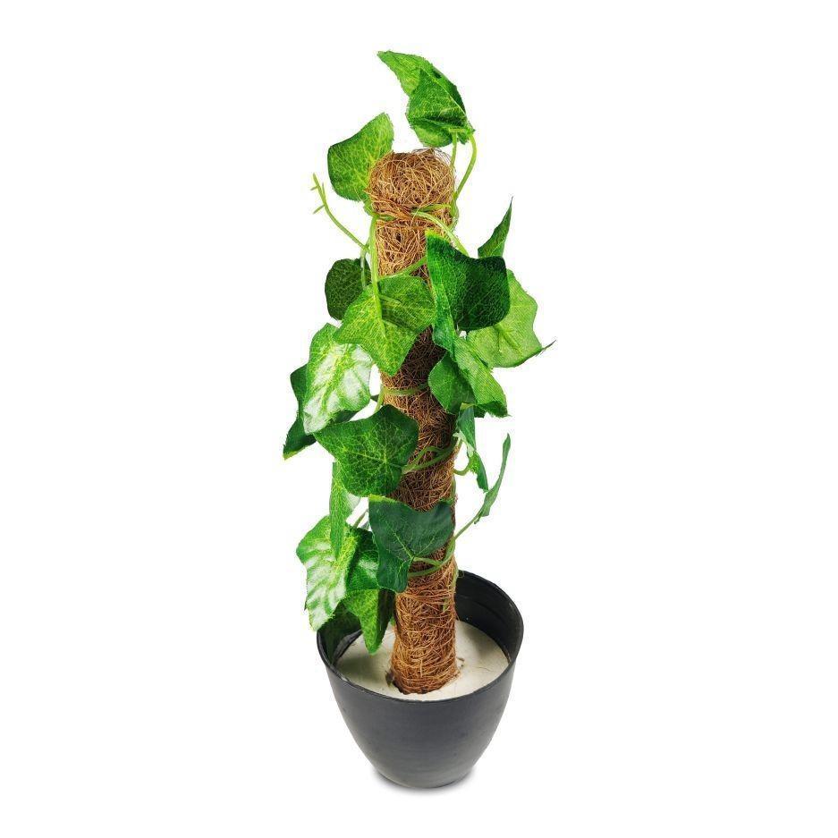 Mini Green Coconut Stick Planter - 1 Pc for Bringing Nature Indoors - Size: 1 ft