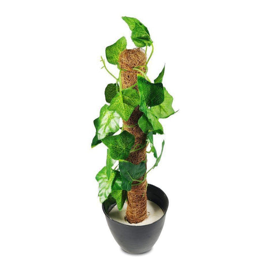 Mini Green Coconut Stick Planter - 1 Pc for Bringing Nature Indoors - Size: 1 ft