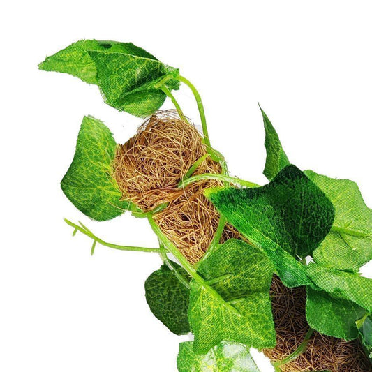 Mini Green Coconut Stick Planter - 1 Pc for Bringing Nature Indoors - Size: 1 ft